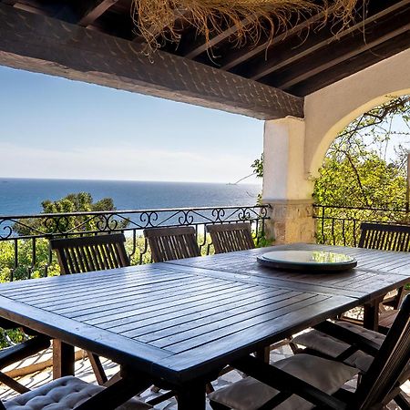 Villa Prestige Carqueiranne Kültér fotó